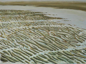 Wellensand